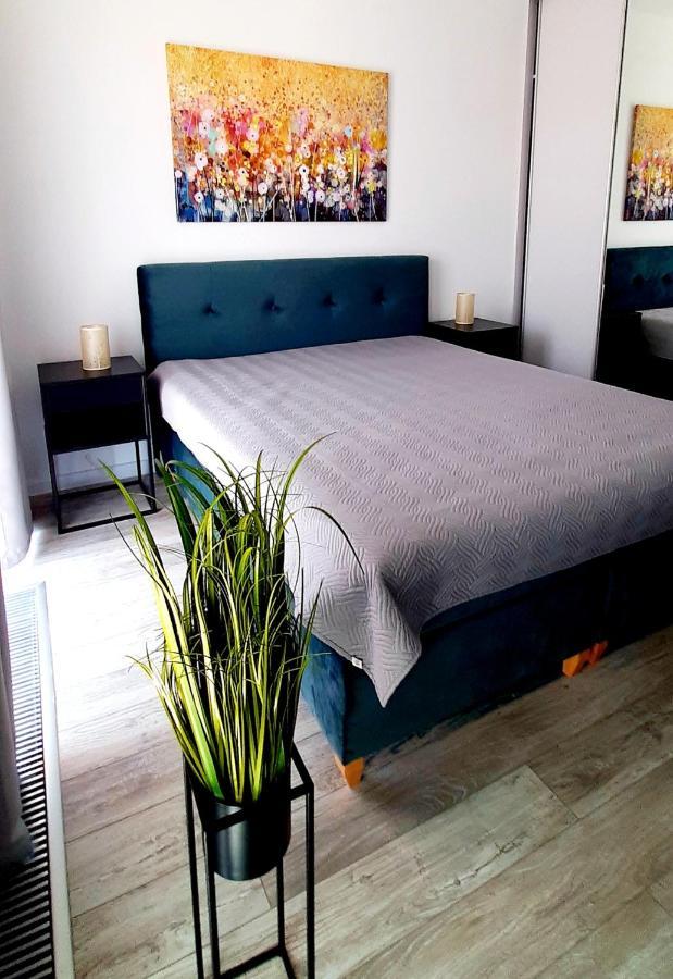 מידזיזדרויה Flamingo Apartments מראה חיצוני תמונה